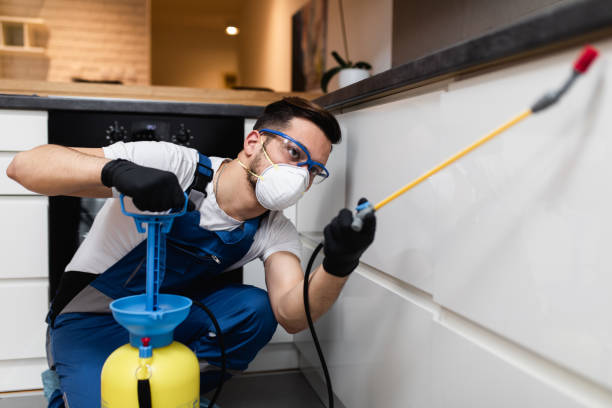 Best Local Pest Control Services  in Crooks, SD