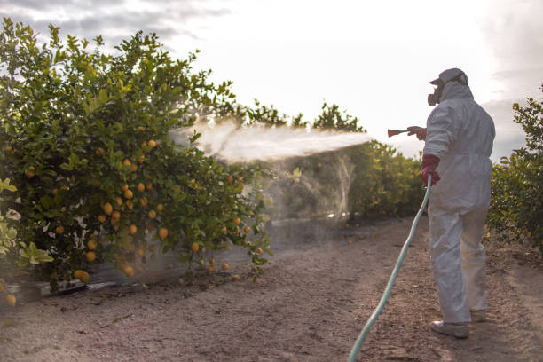 Best Rat Extermination Near Me  in Crooks, SD
