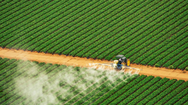Best Mosquito Control Services  in Crooks, SD