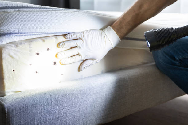 Best Pest Prevention Services  in Crooks, SD