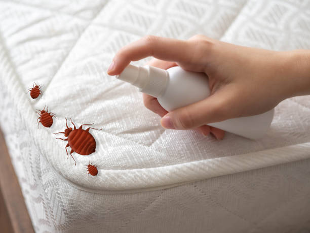 Best Best Pest Control Companies  in Crooks, SD