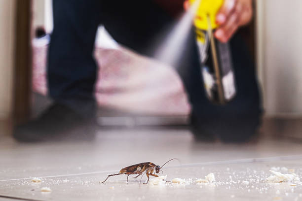Best Commercial Pest Control Services  in Crooks, SD