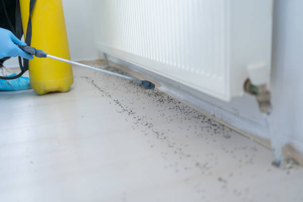 Best Termite Control Services  in Crooks, SD
